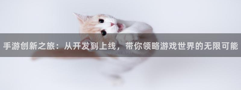 三牛娱乐负责人：手游创新之旅：从开发到上线，带你领略游戏世界