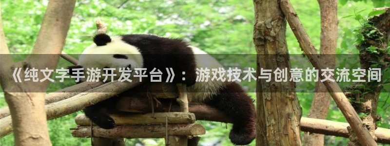 三牛娱乐是网络诈骗平台吗安全吗：《纯文字手游开发平台》：游戏