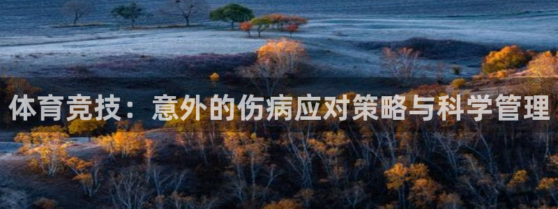 球王会体育