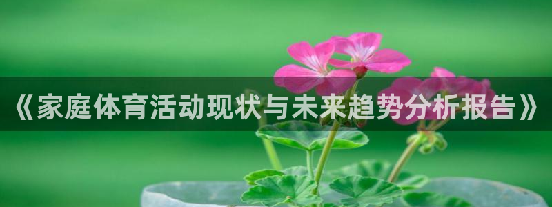 球王会体育