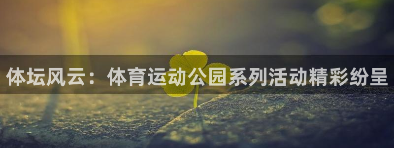 球王会体育