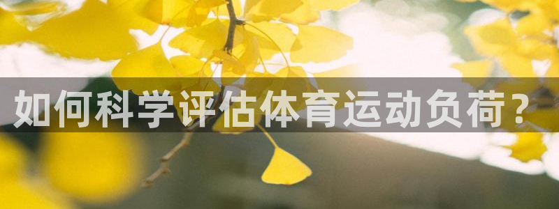 球王会体育
