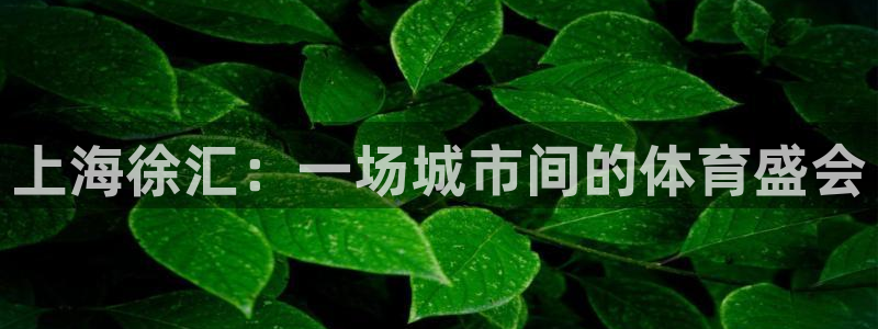 球王会体育