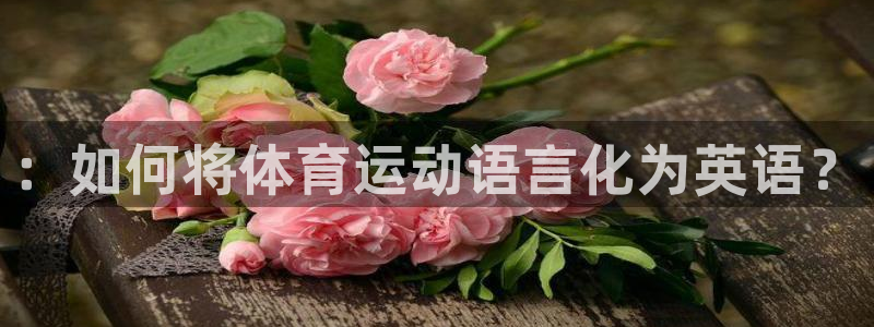 球王会体育