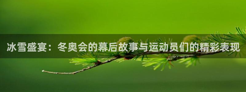 球王会体育