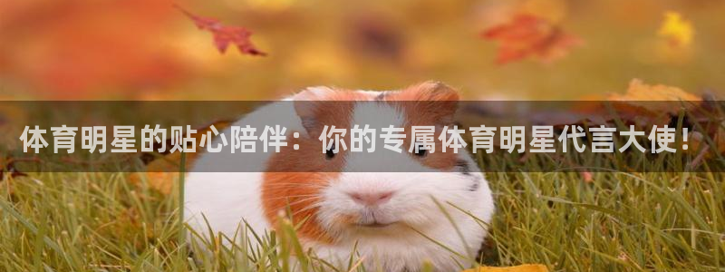 球王会体育