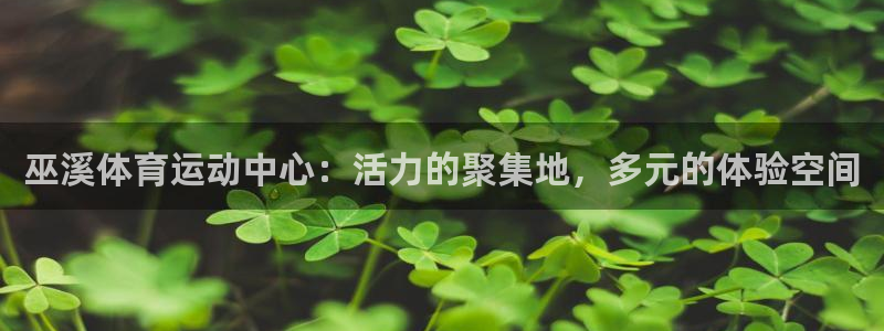 球王会体育