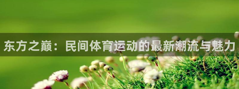 球王会体育