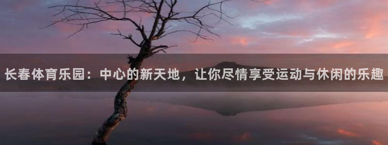 球王会体育