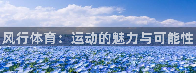 球王会体育