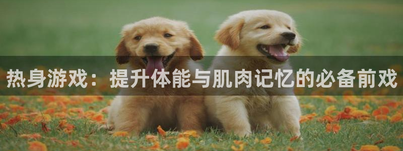 球王会体育