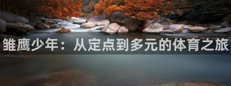 球王会体育