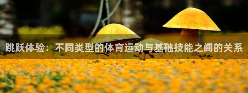球王会体育