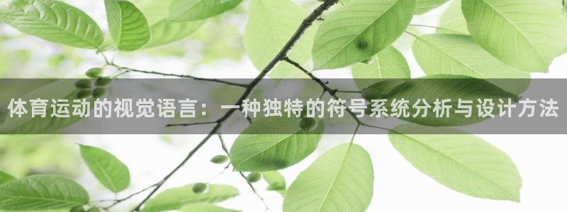 球王会体育