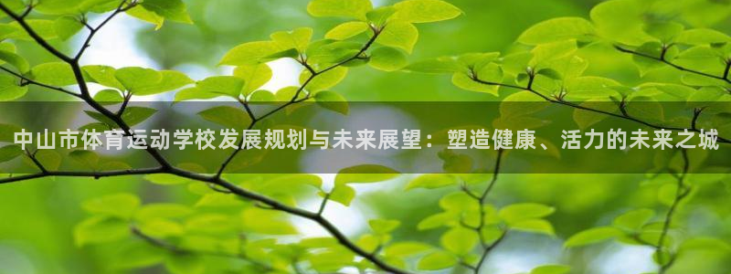 球王会体育