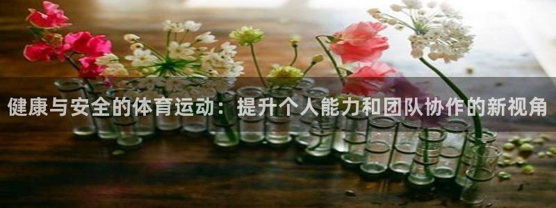 球王会体育