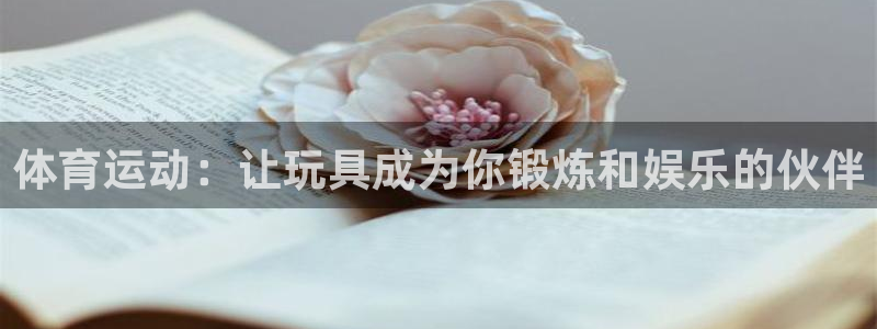 球王会体育